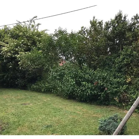 1950 Detente Et Decouverte Avec Et Piscine Exterieure Lejlighed Anould