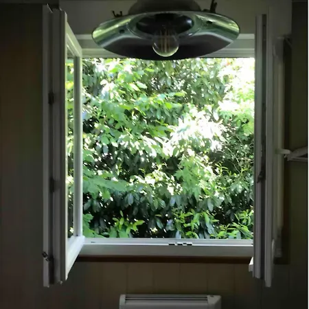 1950 Detente Et Decouverte Avec Et Piscine Exterieure Lejlighed *